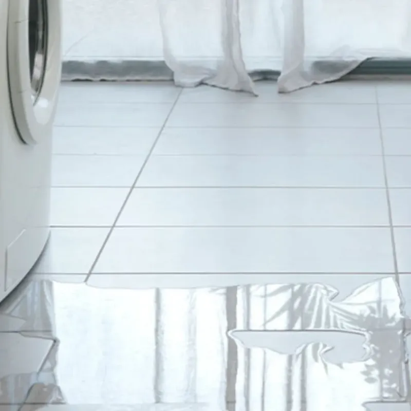 Appliance Leak Cleanup in Manson, WA