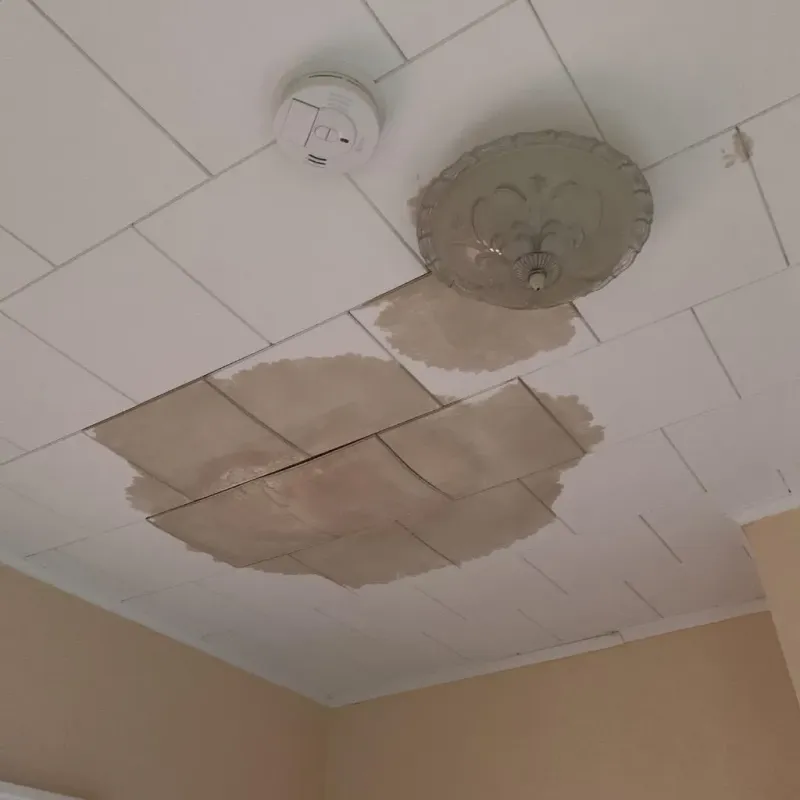 Ceiling Water Damage Repair in Manson, WA