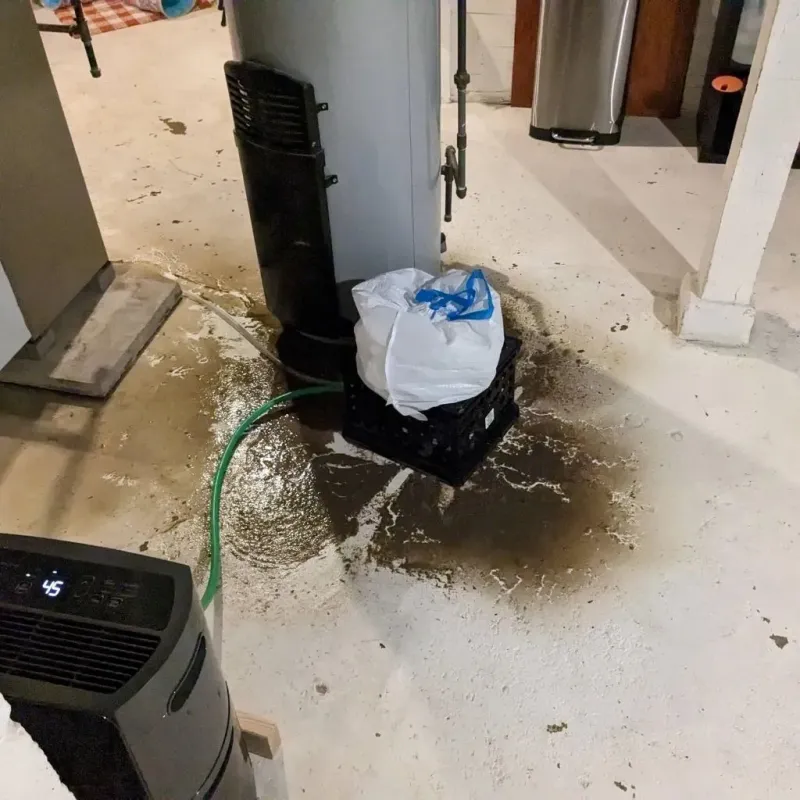 Sewage Backup Cleanup Service in Manson, WA